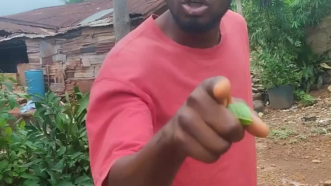 Ndi, JAMB 2025