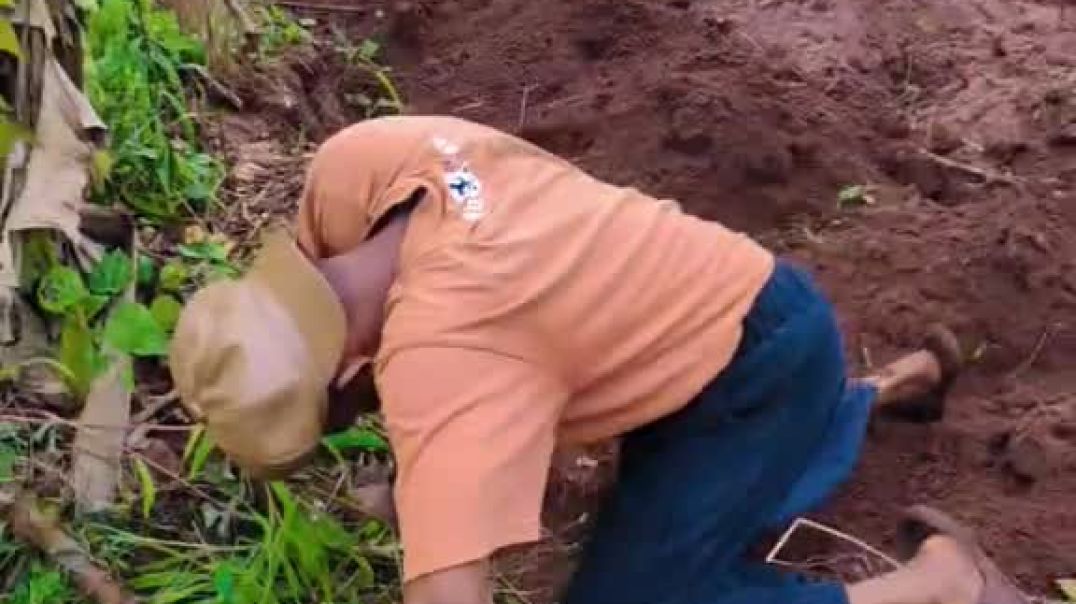 when hungry catch you carry hole enter farm 🤣🤣