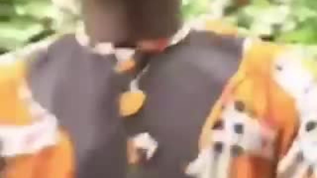 trim