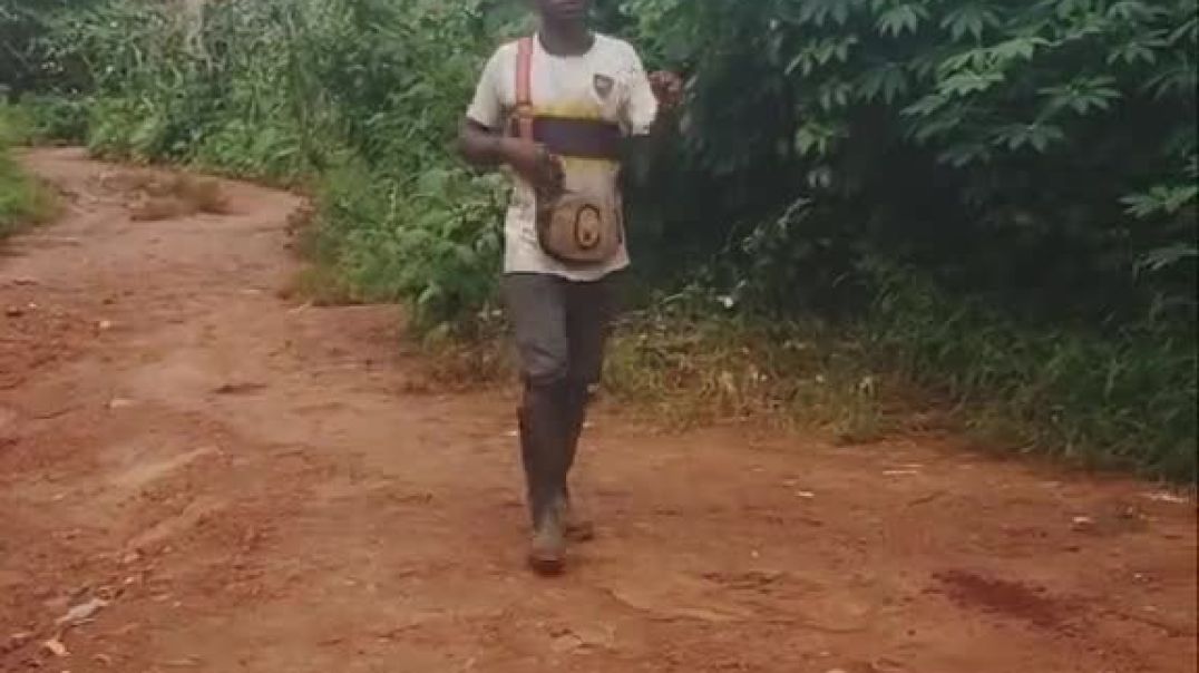 The mumu criminal 😂😂